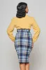 Image de Saia Juanita Moonlight Chek Pencil
