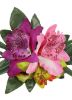 Picture of Gancho Tropical Bloom